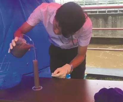 1542680535151484.jpg 1.webp-a3336356-4a3f-4f52-98d0-f6c910554240.jpg